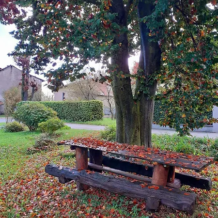 La Carpa E La Calendula - Vacanze