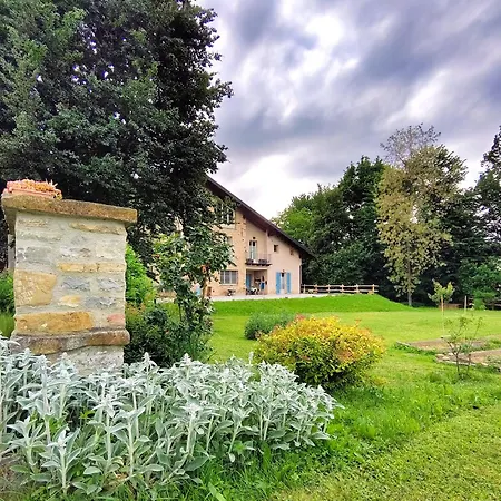 La Carpa E La Calendula - Vacanze